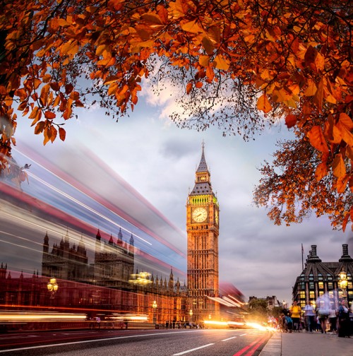 View of traffic past Big Ben framed by autumn leaves