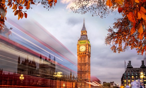 View of traffic past Big Ben framed by autumn leaves